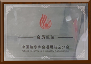 中国信息协会通用玩球网站(中国)责任有限公司会员单位